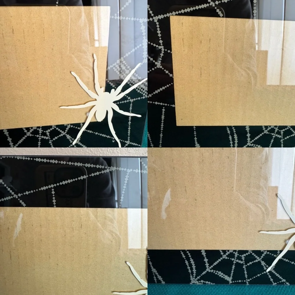 Halloween spiderweb black and ivory picture frame